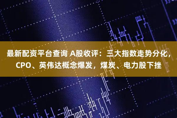 最新配资平台查询 A股收评：三大指数走势分化，CPO、英伟达概念爆发，煤炭、电力股下挫