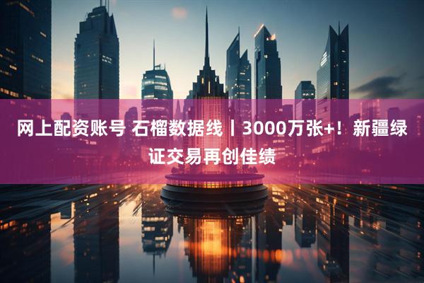 网上配资账号 石榴数据线丨3000万张+！新疆绿证交易再创佳绩